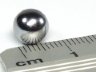 product_thumb ch 7.jpg